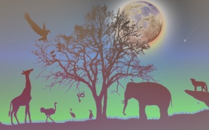 Moon_and_animals